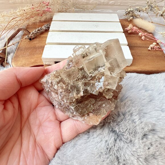 Gorgeous Halite Salt Crystal Cluster from Morroco - Picture 6 of 10